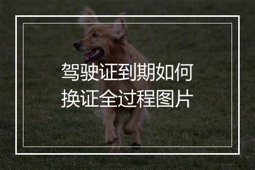 驾驶证到期如何换证全过程图片