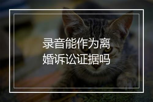 录音能作为离婚诉讼证据吗