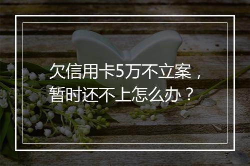 欠信用卡5万不立案，暂时还不上怎么办？