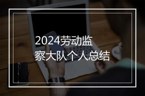 2024劳动监察大队个人总结