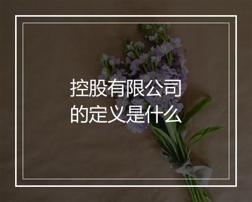 控股有限公司的定义是什么
