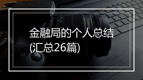 金融局的个人总结(汇总26篇)