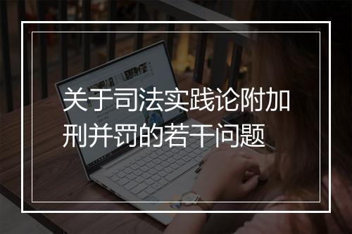 关于司法实践论附加刑并罚的若干问题