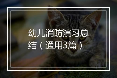 幼儿消防演习总结（通用3篇）