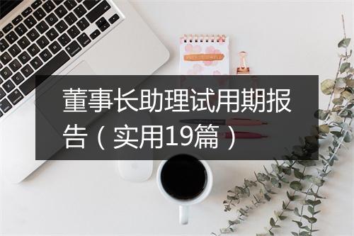 董事长助理试用期报告（实用19篇）