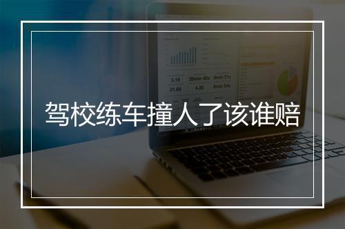 驾校练车撞人了该谁赔