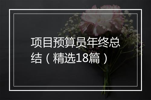 项目预算员年终总结（精选18篇）