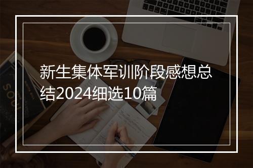 新生集体军训阶段感想总结2024细选10篇