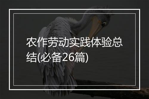 农作劳动实践体验总结(必备26篇)