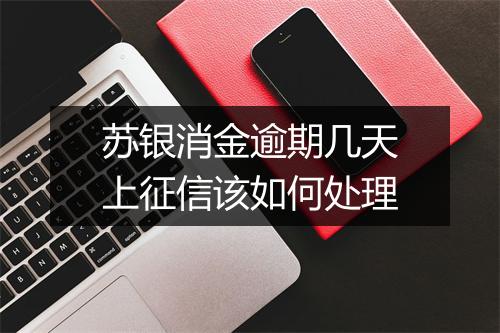 苏银消金逾期几天上征信该如何处理
