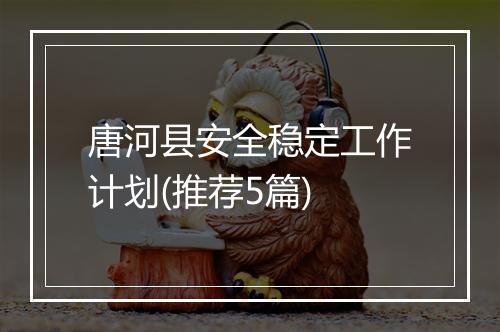 唐河县安全稳定工作计划(推荐5篇)