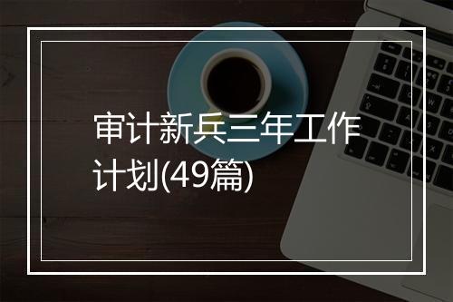 审计新兵三年工作计划(49篇)