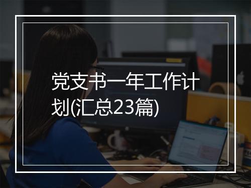 党支书一年工作计划(汇总23篇)