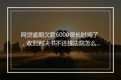 网贷逾期欠款6000很长时间了，收到判决书不还钱法院怎么执行