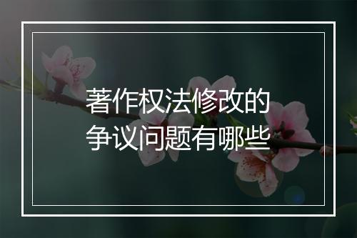 著作权法修改的争议问题有哪些