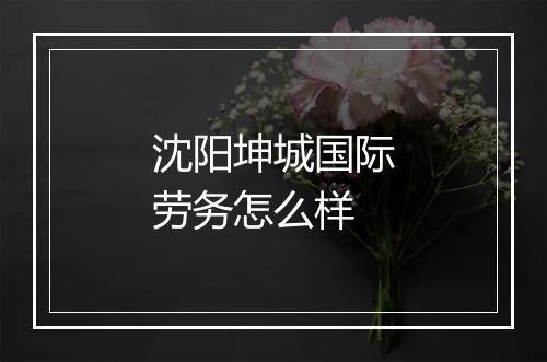沈阳坤城国际劳务怎么样