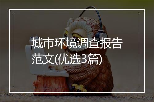 城市环境调查报告范文(优选3篇)