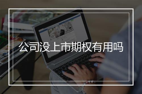 公司没上市期权有用吗