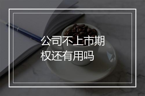 公司不上市期权还有用吗