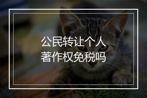 公民转让个人著作权免税吗
