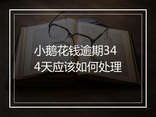 小鹅花钱逾期344天应该如何处理