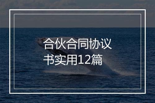 合伙合同协议书实用12篇