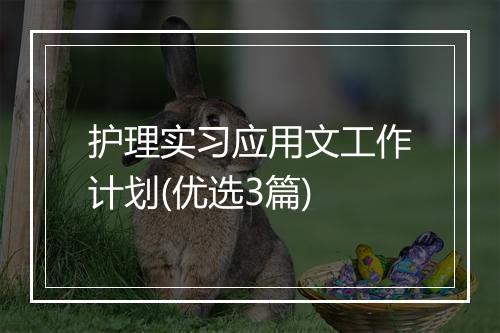 护理实习应用文工作计划(优选3篇)