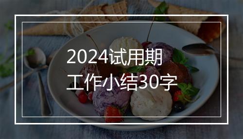 2024试用期工作小结30字