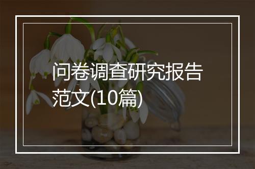 问卷调查研究报告范文(10篇)