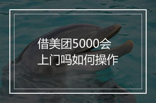 借美团5000会上门吗如何操作