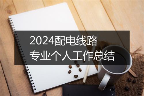 2024配电线路专业个人工作总结