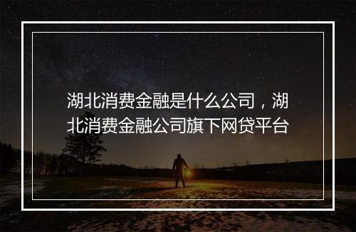 湖北消费金融是什么公司，湖北消费金融公司旗下网贷平台