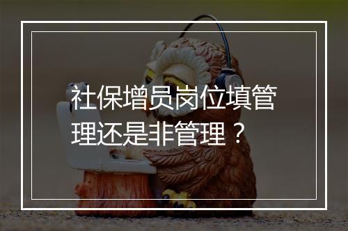 社保增员岗位填管理还是非管理？