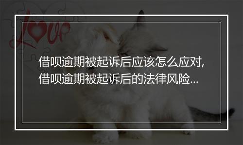 借呗逾期被起诉后应该怎么应对,借呗逾期被起诉后的法律风险分析
