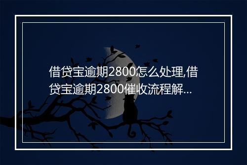 借贷宝逾期2800怎么处理,借贷宝逾期2800催收流程解析