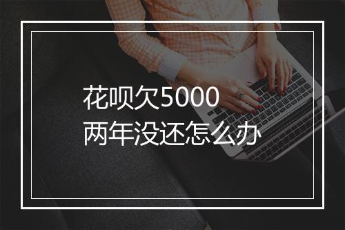 花呗欠5000两年没还怎么办