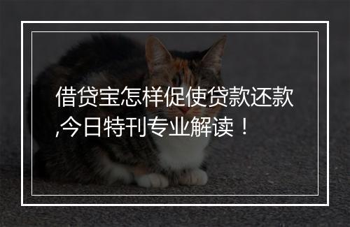 借贷宝怎样促使贷款还款,今日特刊专业解读！