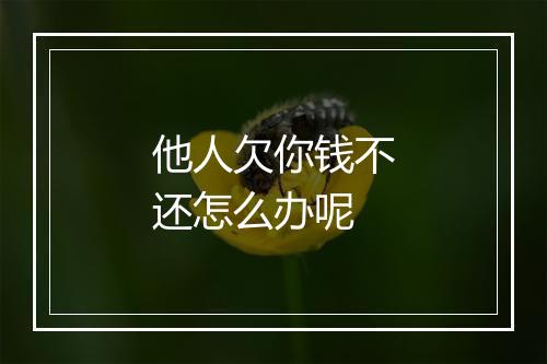 他人欠你钱不还怎么办呢