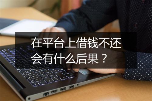 在平台上借钱不还会有什么后果？