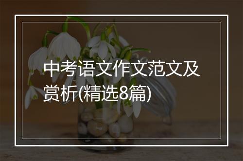 中考语文作文范文及赏析(精选8篇)