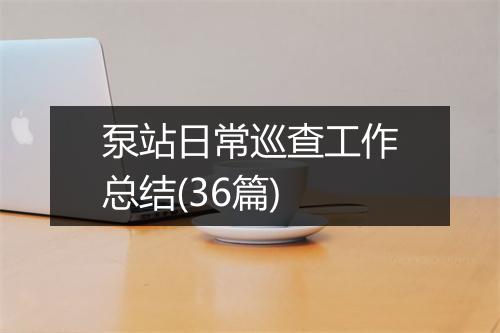 泵站日常巡查工作总结(36篇)