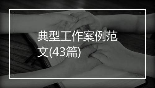 典型工作案例范文(43篇)