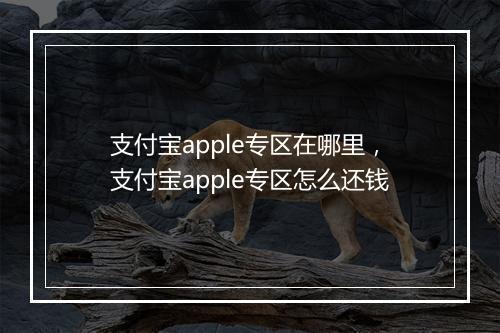 支付宝apple专区在哪里，支付宝apple专区怎么还钱