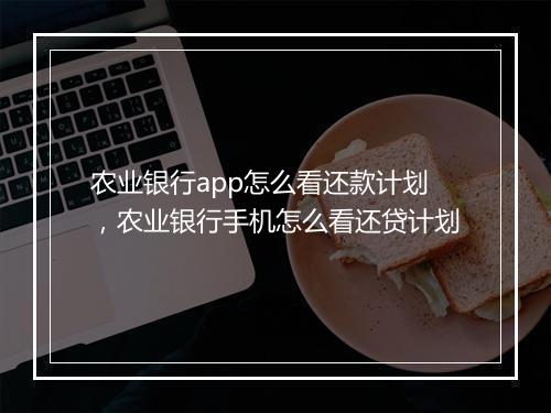 农业银行app怎么看还款计划，农业银行手机怎么看还贷计划