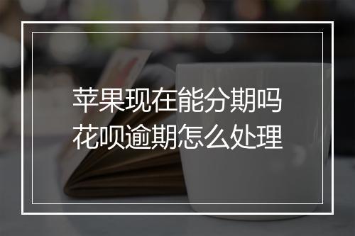 苹果现在能分期吗花呗逾期怎么处理