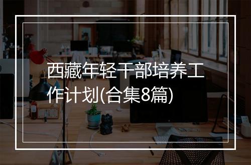 西藏年轻干部培养工作计划(合集8篇)