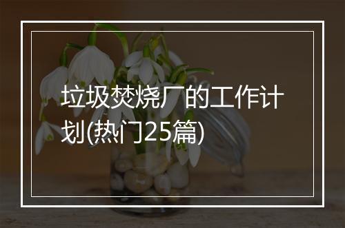 垃圾焚烧厂的工作计划(热门25篇)