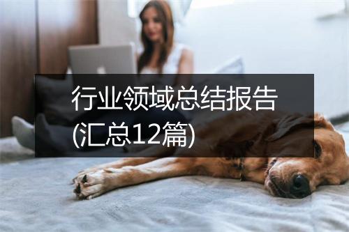 行业领域总结报告(汇总12篇)