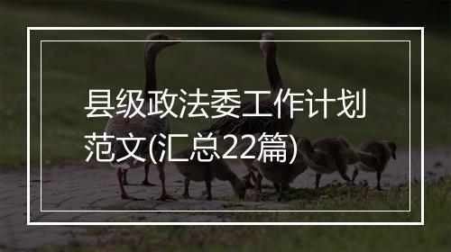 县级政法委工作计划范文(汇总22篇)