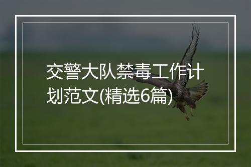 交警大队禁毒工作计划范文(精选6篇)